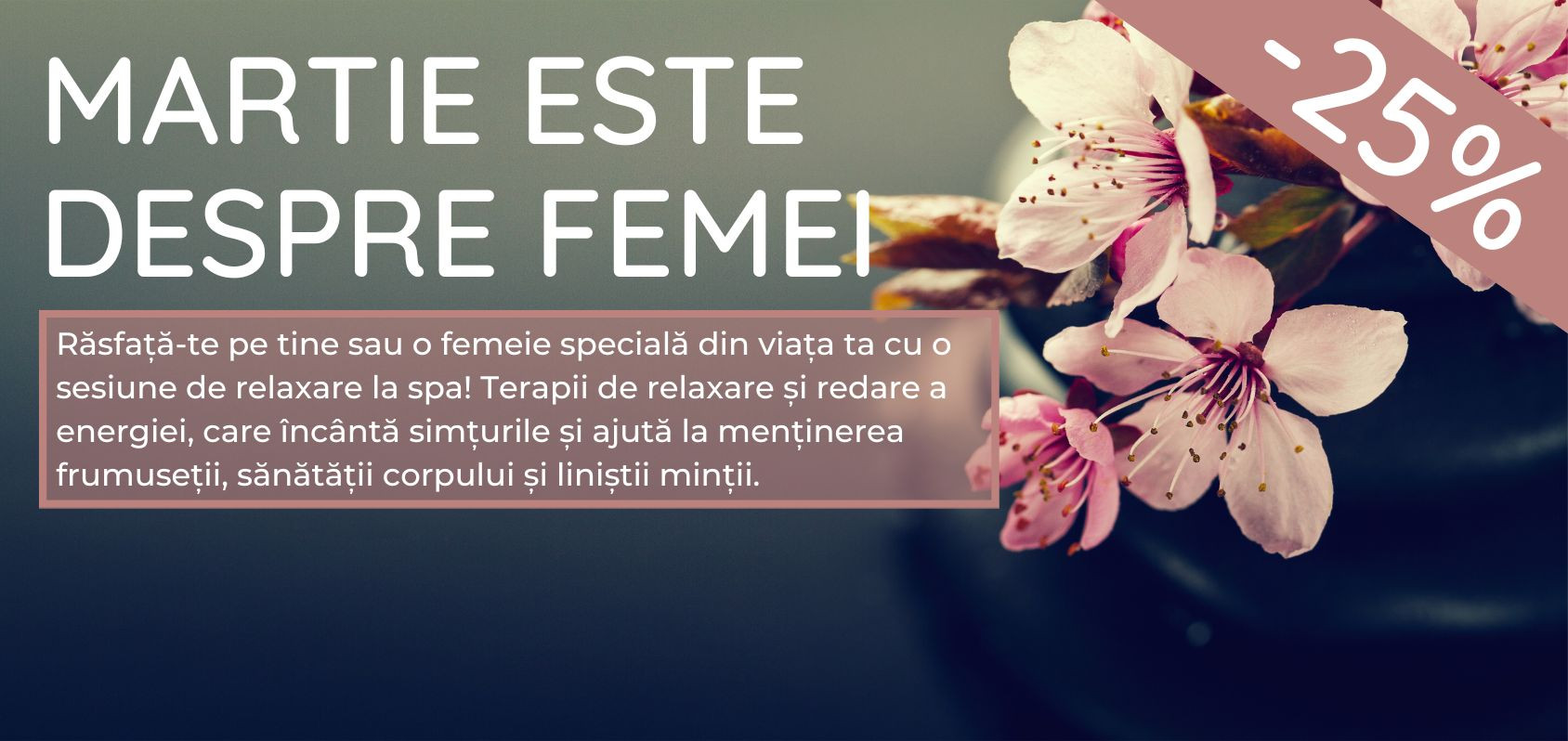 Oferta Lunii MARTIE